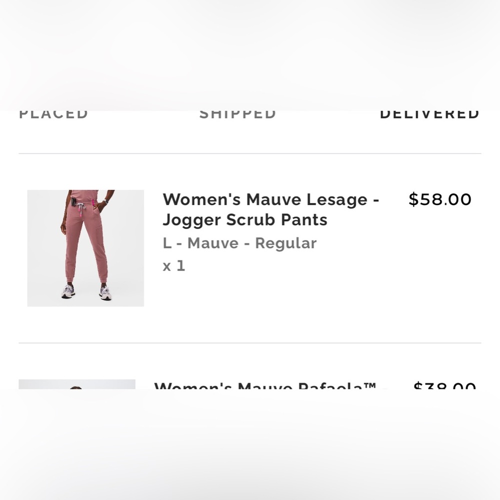 FIGS Lesage Joggers size L